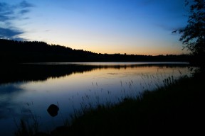 开云体育网站-高速冲刺！覃海洋50米蛙泳表现稳定，覃海洋个人资料