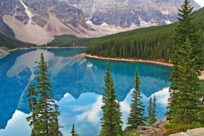 开云体育官网app-美洲杯激情再燃：攻守转换中的惊喜不断，“美洲杯”