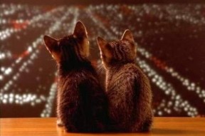 开云体育下载-中超联赛VAR使用影响解析，英超var规则