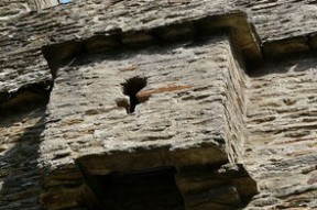 开云体育登录-法甲争冠升级：巴黎圣日耳曼迎战强敌，夺冠前线动态，法甲巴黎圣日耳曼vs