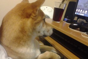 开云体育网址-库里拍摄新广告片传递运动正能量，库里 广告