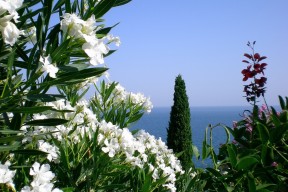 kaiyun开云体育-配速调整对蝶泳成绩的影响，配速调整对蝶泳成绩的影响有哪些