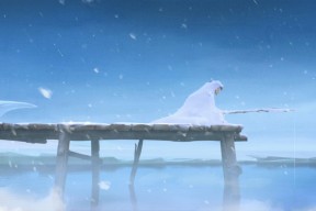 开云体育链接-中超是否拥有可持续的商业模式，中超控股未来发展优势