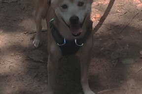 kaiyun开云体育-青少年篮球专项体能训练提升力量速度灵活性全面发展，青少年篮球体能训练内容