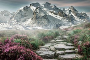 开云体育官网上-全国大学生健身操舞锦标赛展现青春风采，全国大学生健美操