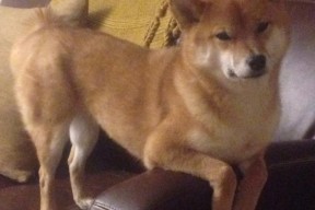 kaiyun开云体育-世界第四赛区的现实考验初显成效，第四个世界赛名额