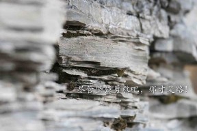 开云体育入口-法甲巅峰对攻：攻守之中见真章，法甲实力