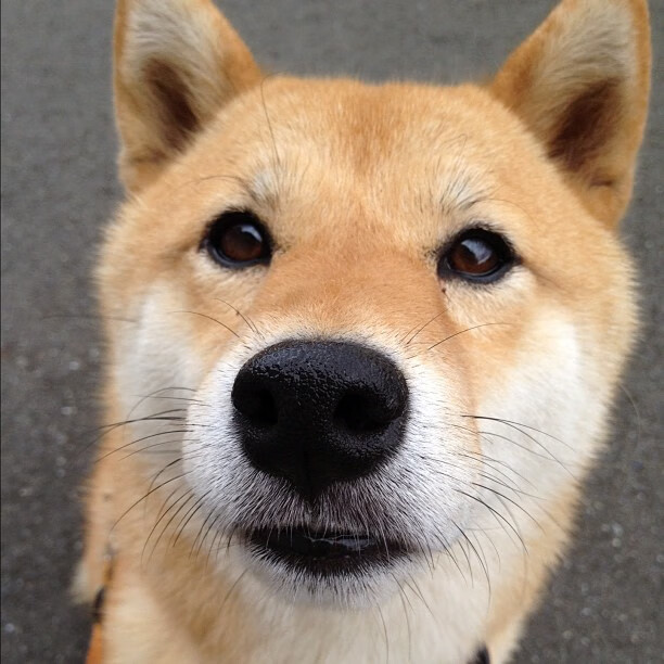 中超球队高压战术区域图谱整理,足球高压战术