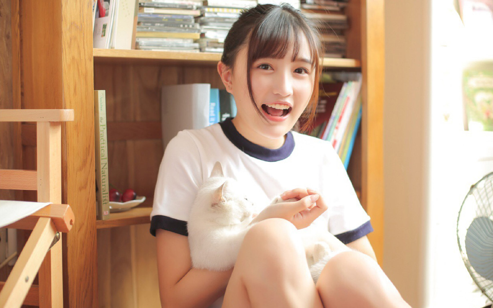 体育场馆绿色改造项目,体育场馆绿色改造项目名称