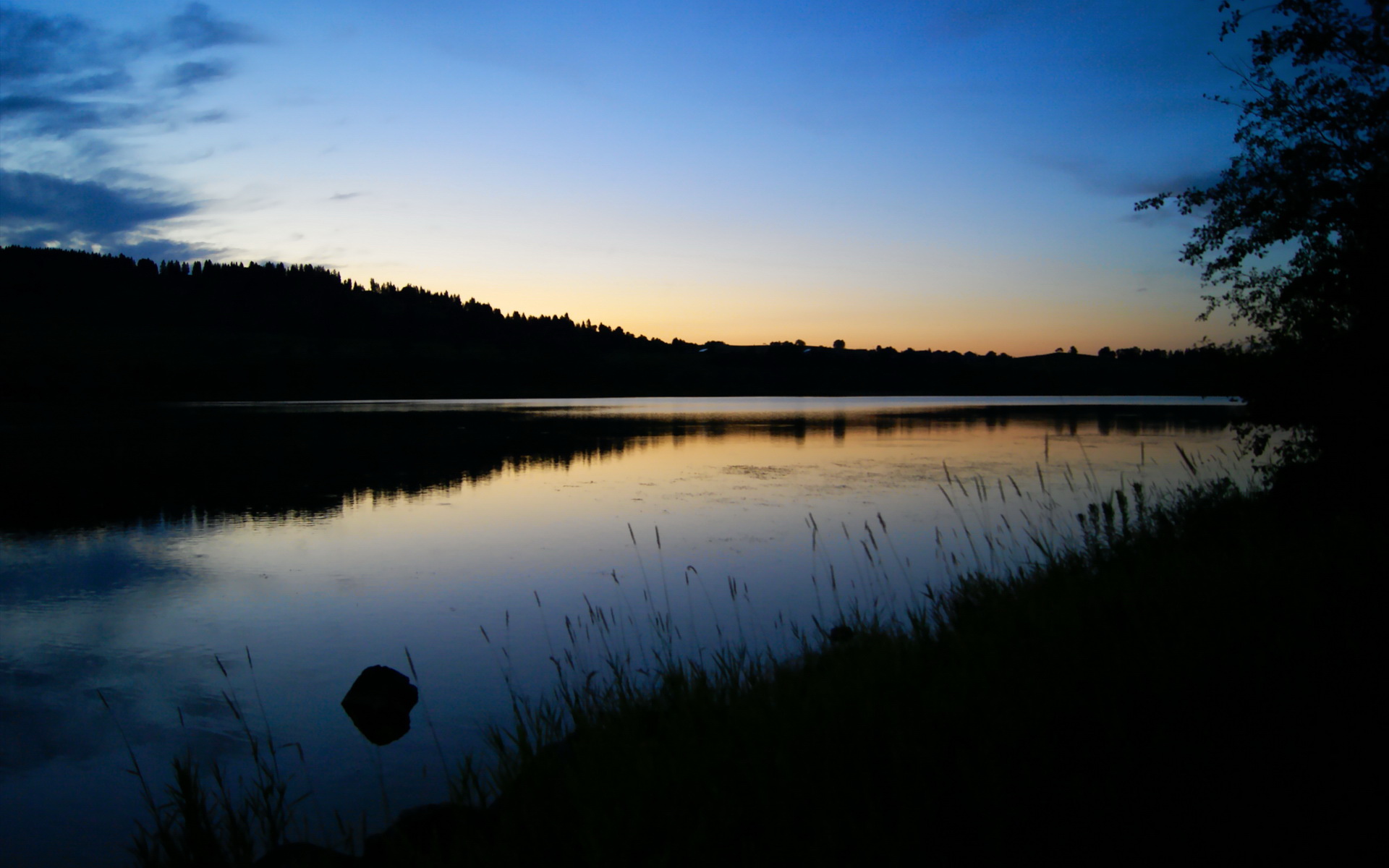 全国青少年竞技飞盘比赛火热展开,青少年热情高涨,飞盘比赛海报