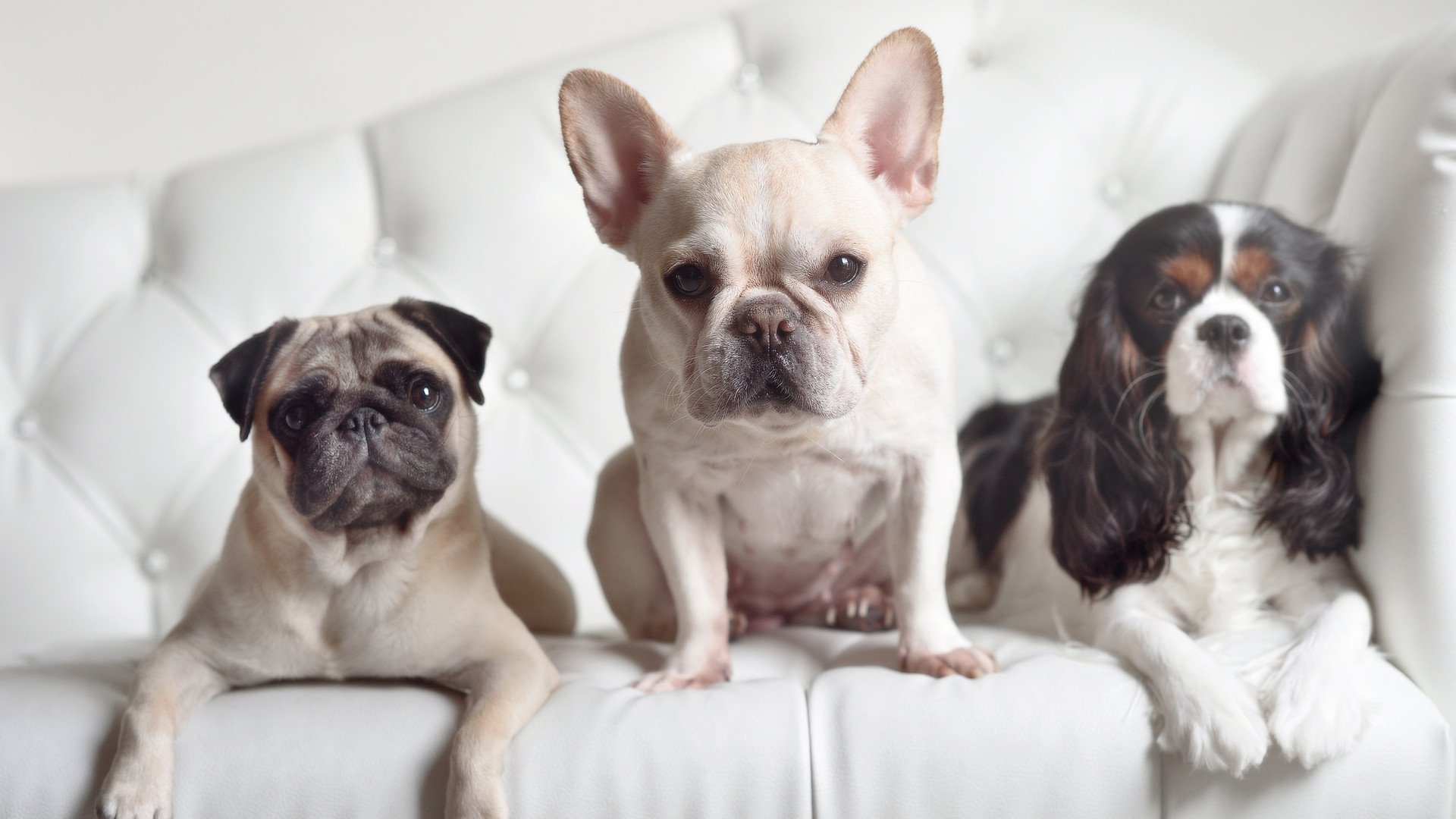 德甲球队高强度对抗期间体能消耗与技术表现关联,德甲冲刺速度