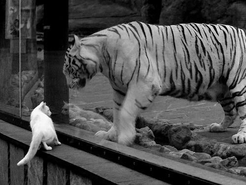 社区体育发展政策落地情况跟踪,社区体育发展对策