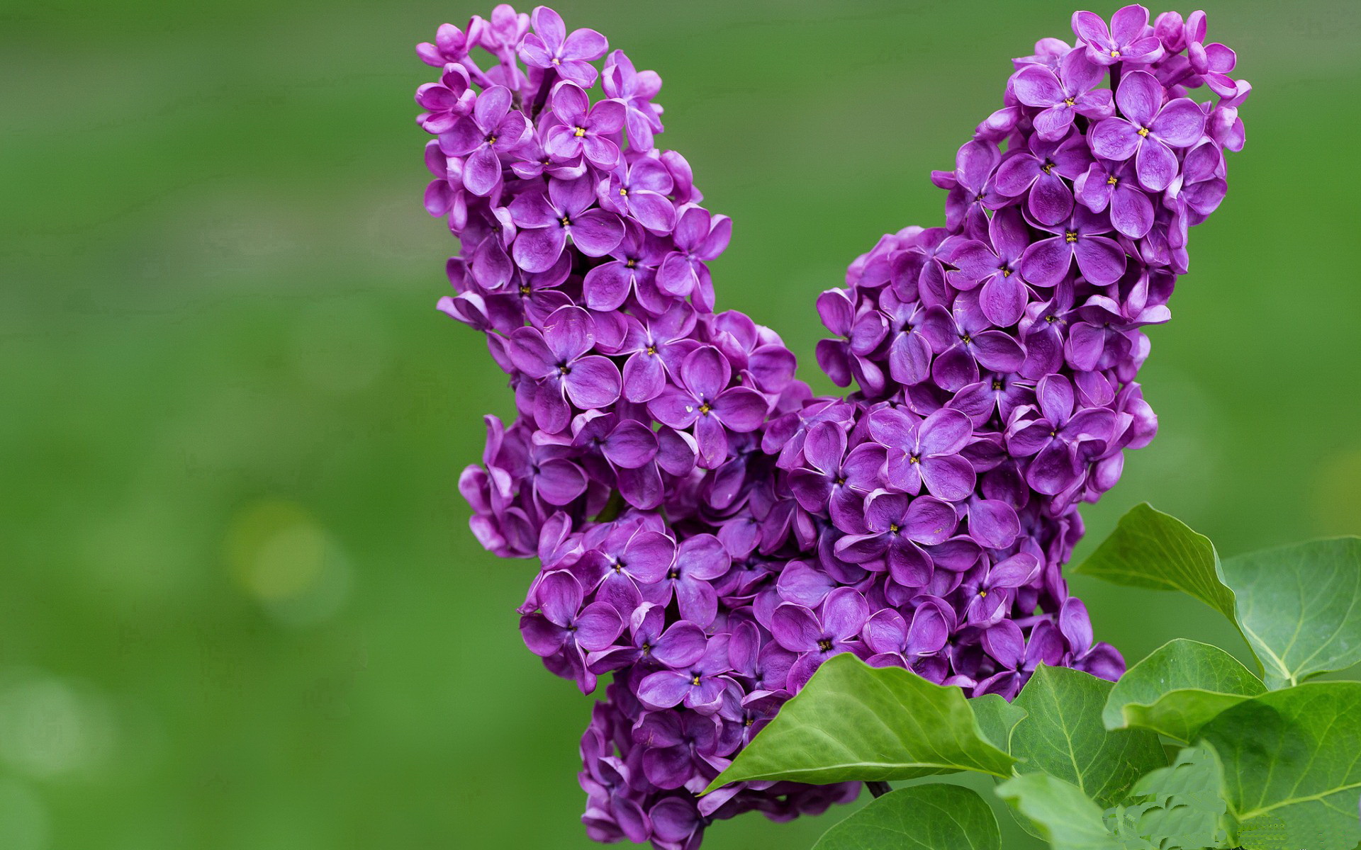 篮球运动员体能测试技术应用研究,篮球运动员的体能训练涵盖的六大项内容