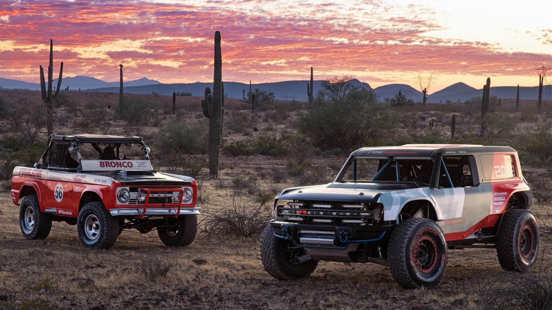 运动技能学习平台使用行为与动机分析，运动技能形成理论