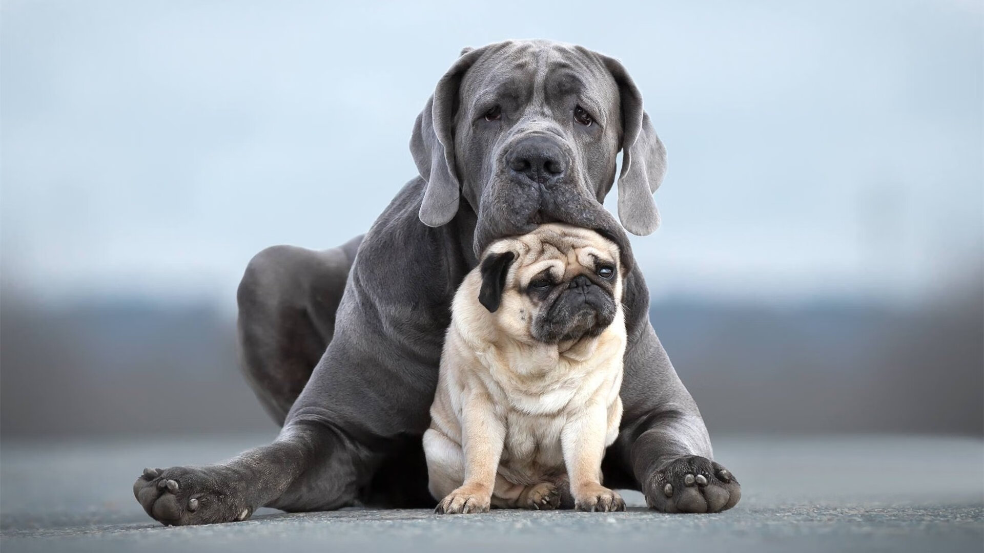 青少年运动损伤康复技术创新研究,青少年运动损伤的原因有哪些