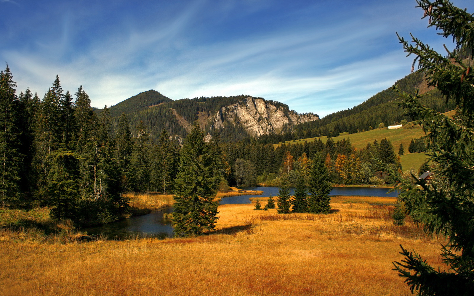 乒乓球技术分析软件帮助选手优化战术,乒乓球技术分析软件帮助选手优化战术的方法