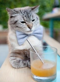 五大联赛年轻球员租借制度效果分析,五大联赛租借人数规则