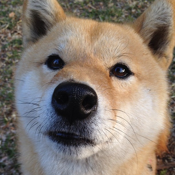 女子接力再夺银 实力不俗,女子接力金牌视频