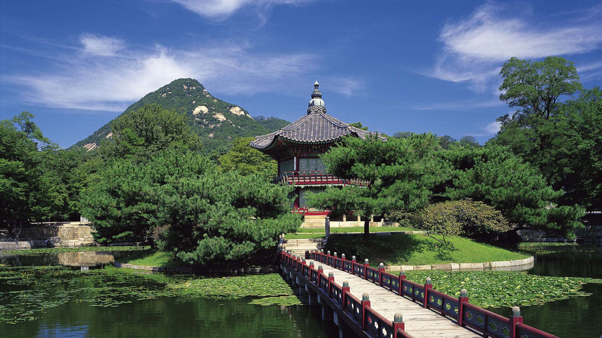 李娜出任网球发展大使 推动全民健身,李娜,网球