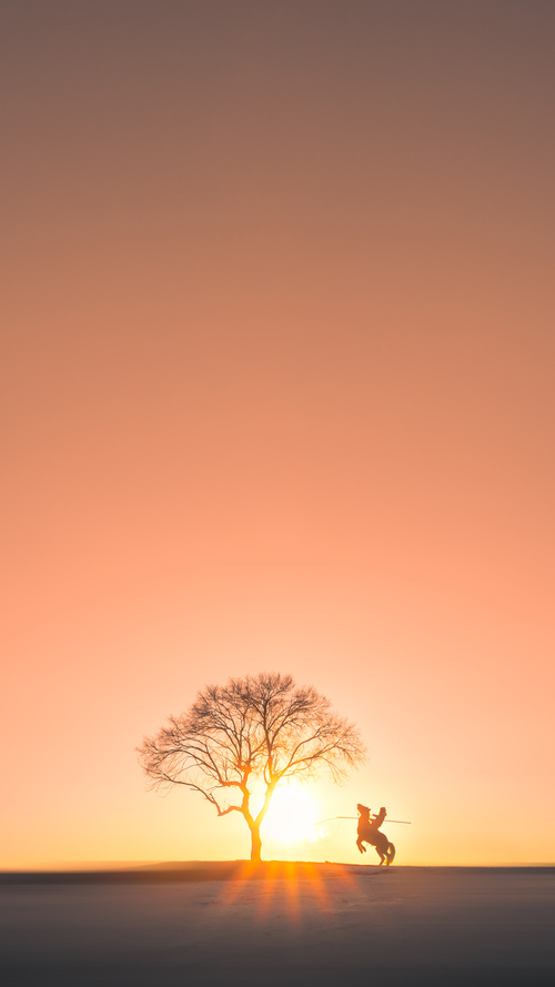 职业联赛缺少联动青训的升降机制