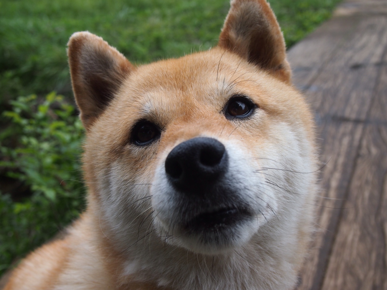 世界杯高光时刻:MEMORIES,永难忘怀!,世界杯高点