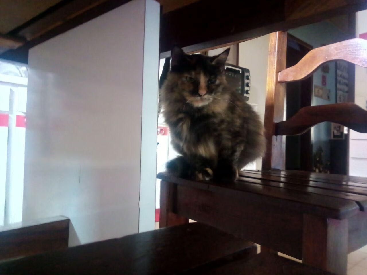 乔纳·隆戈:单打独斗的全黑队“超人”,瞬间改变比赛局势