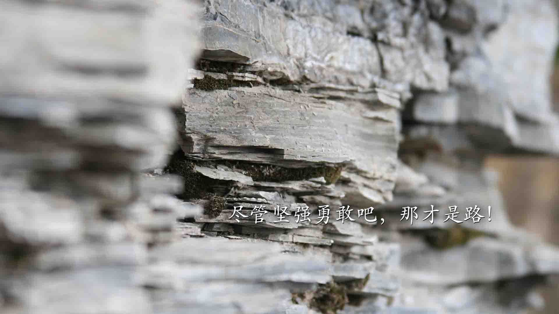 法甲巅峰对攻:攻守之中见真章,法甲实力