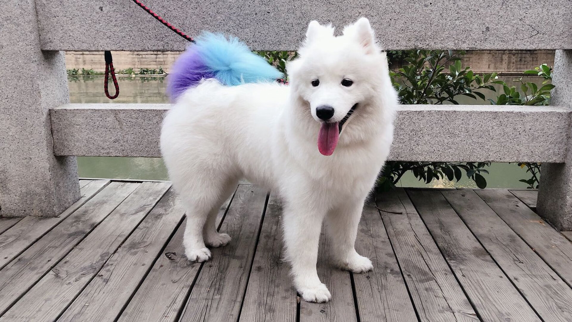 中国足球国家队注重心理素质与抗压能力,中国国足最需要的球员