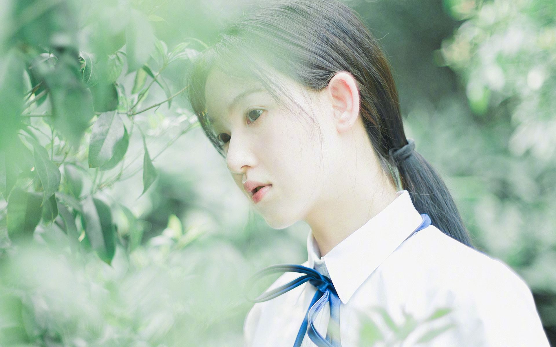 中国足球女足阵型变动与球员适应过程解析,中国女足阵型图